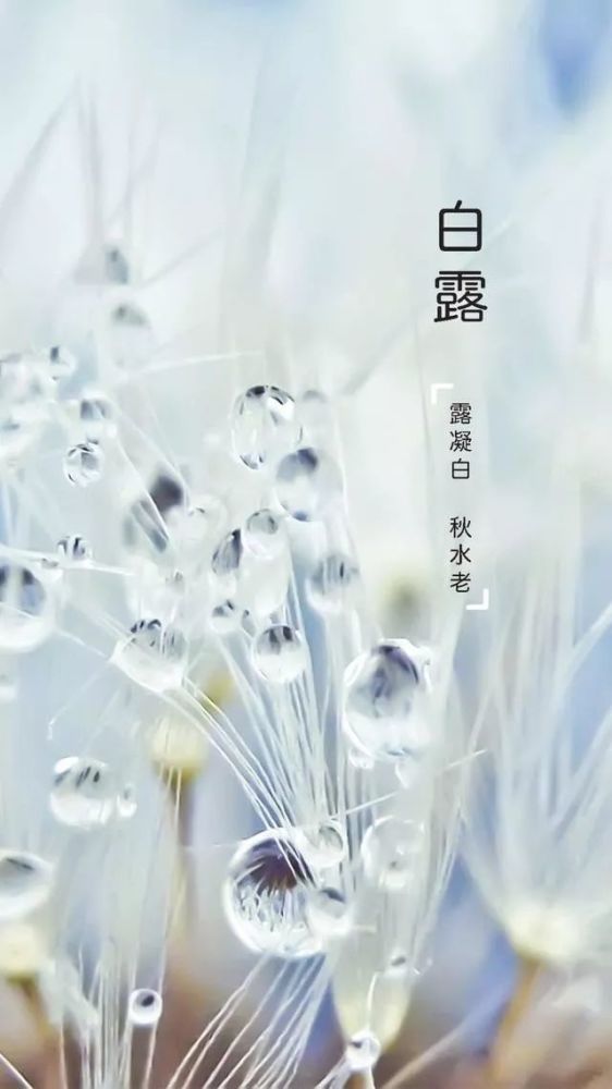 今日白露,沈城温差逐渐加大,"一天两季"成常态