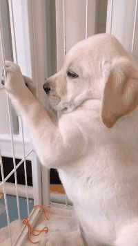 确认过眼神,遇上个不对付的人! 1.