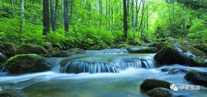 山青水碧,风光无限.