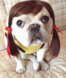 搞笑gif:老妹儿,你想的跟我想的一样不
