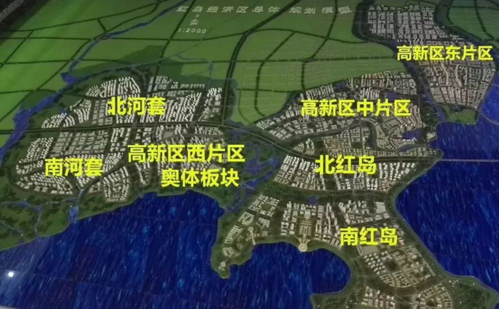 教育,青岛,新校区,红岛经济区,康复大学,实验小学,高新区,红岛