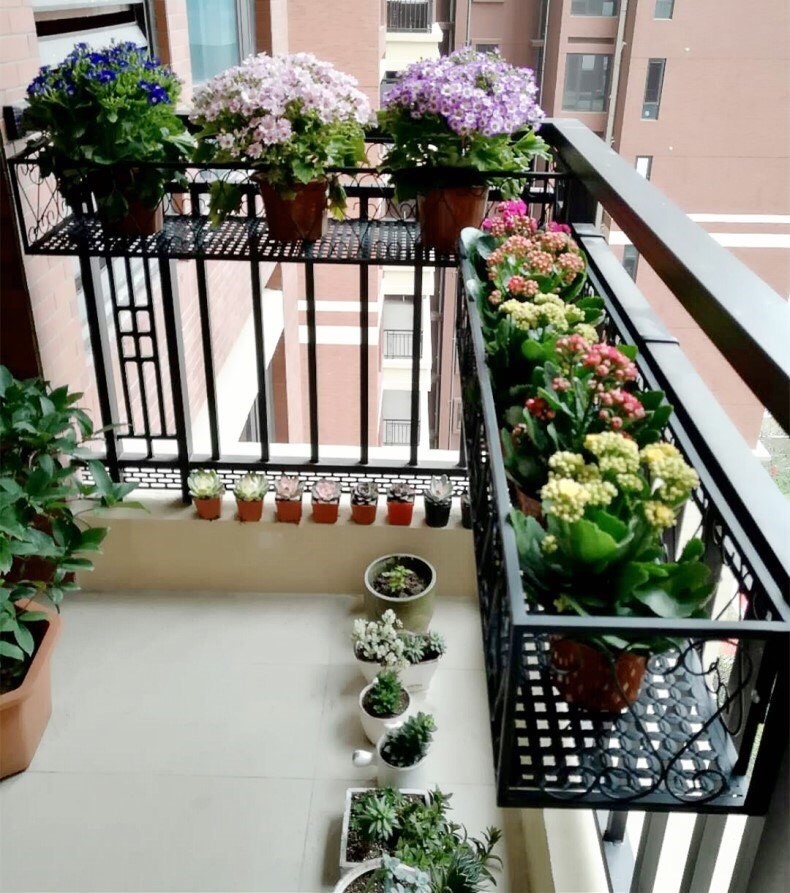 想要养花,阳台空间太小?用1个巧妙的"方法",多养出20盆花