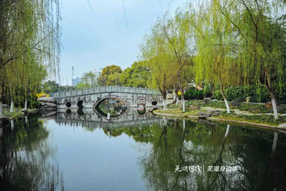 芜湖,公园,汀棠公园,长江