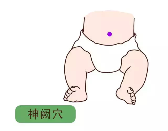 【作用】健脾和胃,消食导滞,消胀,止泻,通便.