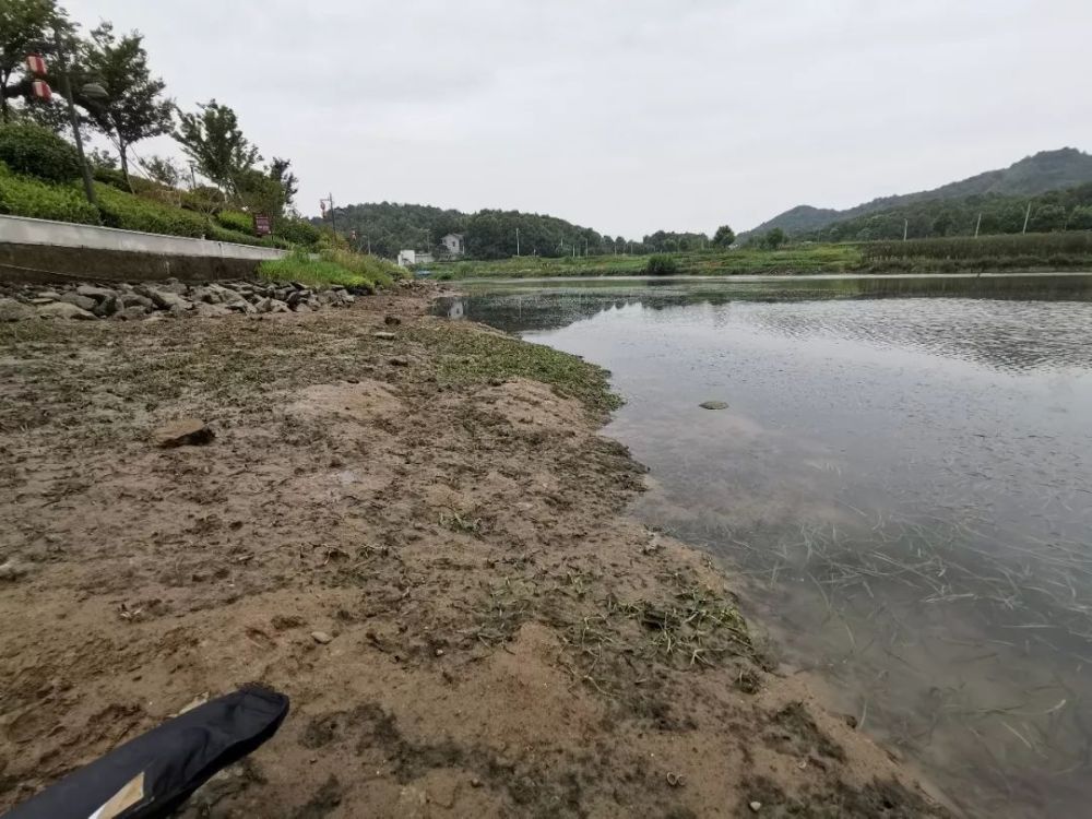 想摸清鱼道先了解水底地形,这几个方法一用,鱼道清晰可见