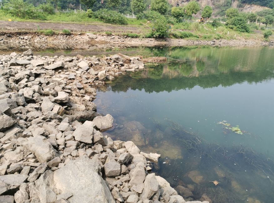 想摸清鱼道先了解水底地形,这几个方法一用,鱼道清晰可见