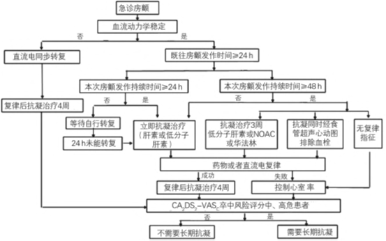 国家医政医管局关于印发心房颤动分级诊疗技术方案的通知