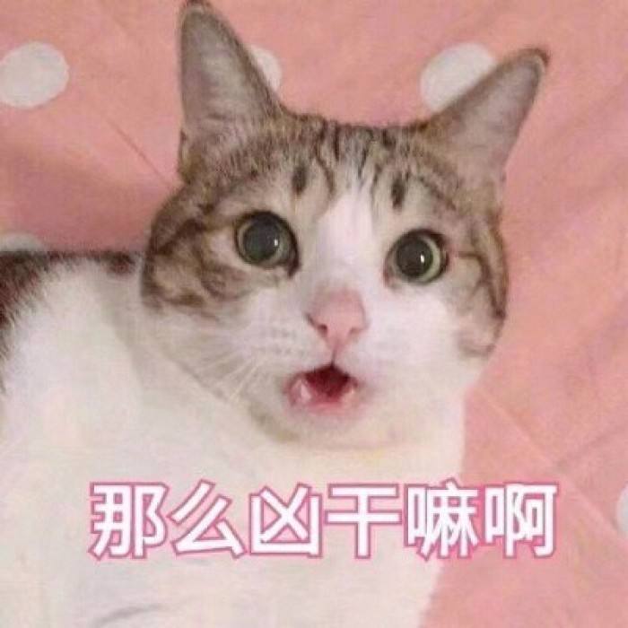 可爱猫咪搞笑表情包:你的小可爱在来的路上!