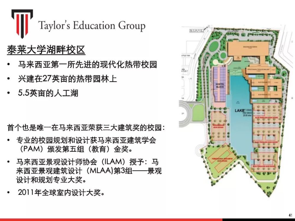 马来西亚泰莱大学本科,硕士,博士招生简章