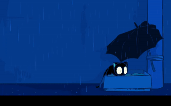 之后8年,不管你看没看过这个剧集,这只小黑猫的形象表情包或者周边,你