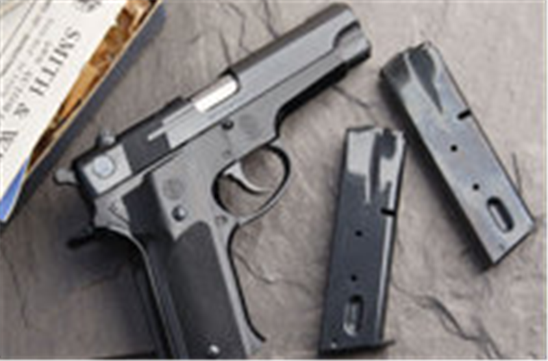 一组美国五款手枪图 图一日本大量采购 外型小巧 专为女性设计 看点快报