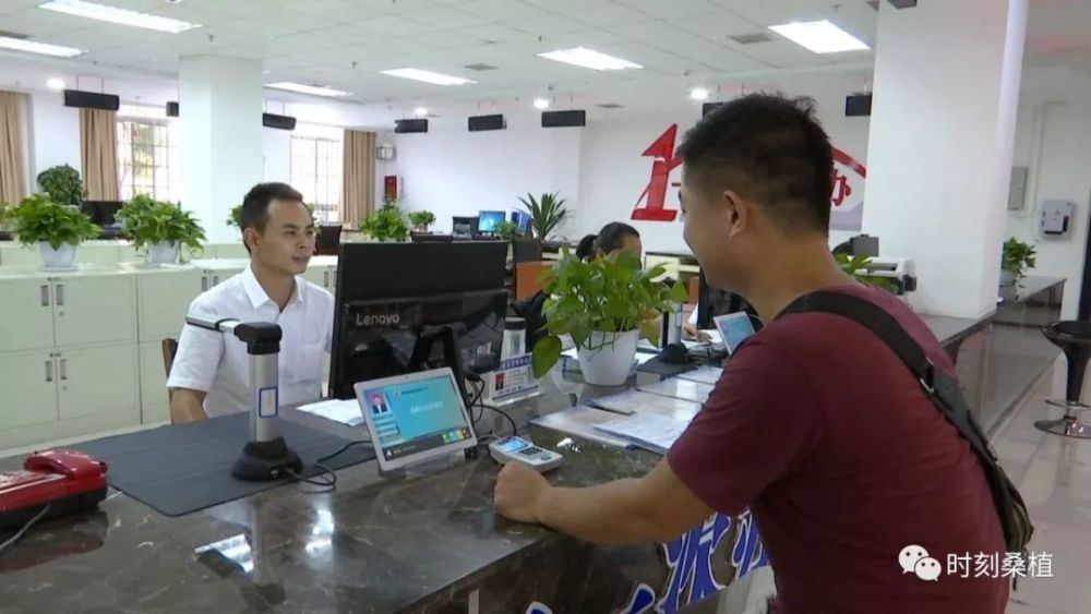 政务服务中心,桑植县,张双英