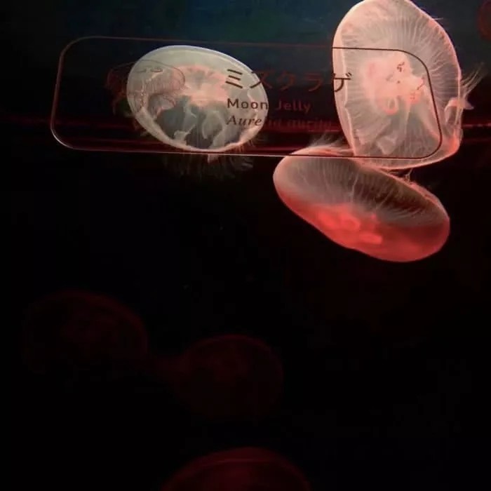 感同身受QQ空间说说,句句发自肺腑,适合寂寞