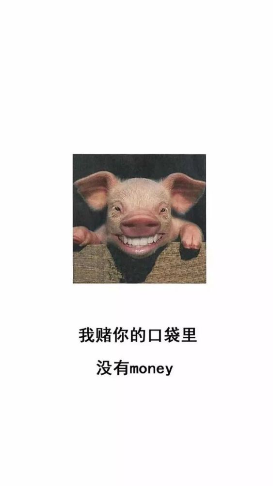 不要碰我手机锁屏壁纸