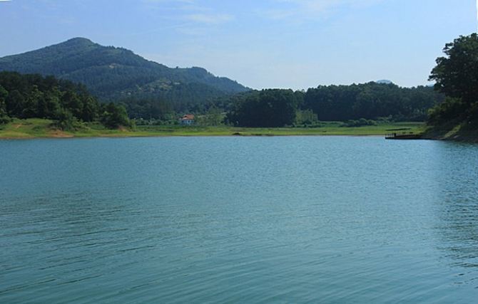 野生佳品-薄山湖松针鱼