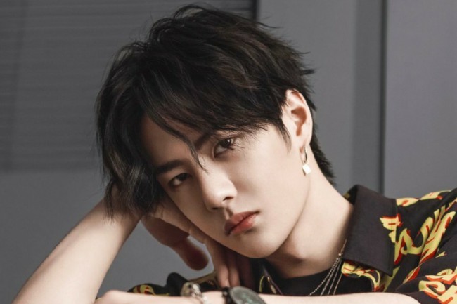 陈飞宇点赞王一博黑图,阿令女孩只认蓝汪叽