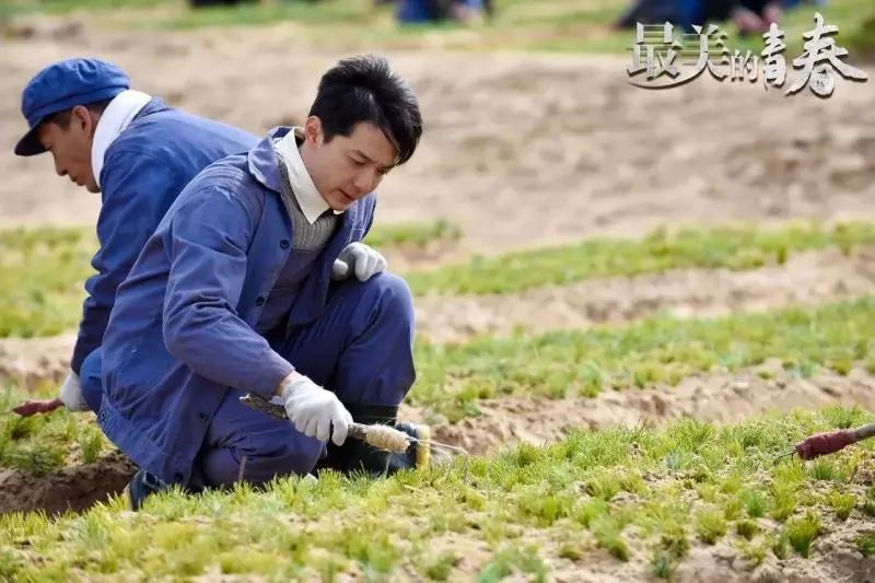 昂扬斗志燃起塞罕坝精神,《最美的青春》向楷模致敬!