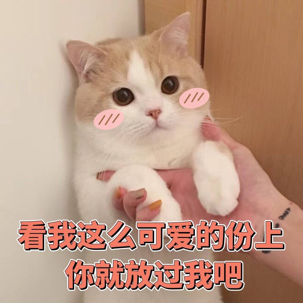 《可爱猫咪表情包》我为什么要减肥,我又不是吃不起