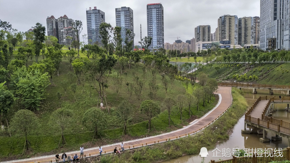 内江万达看恐龙,休闲徒步,从花萼公园,谢家河湿地到北环路