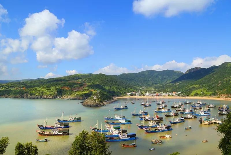 龙港这个村成3a级景区村!恭喜