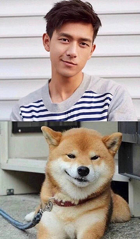 李现和狗狗都有相似处?眯眯眼实在太着迷,最后的睡姿亮了
