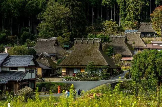 美山町,茅草屋,村庄,美山,日本_旅游,美术馆