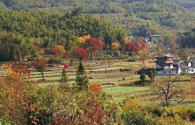 这10个古村惊艳了安徽的秋天,旅游爱好者的必去之地