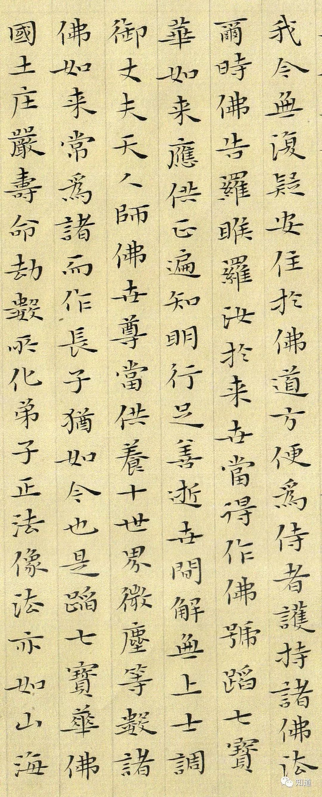 杨文彪 小楷《妙法莲华经》