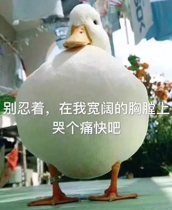 有钱真好!