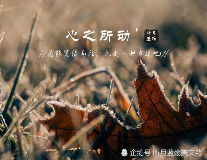 微笑过生活,余生不负遇见