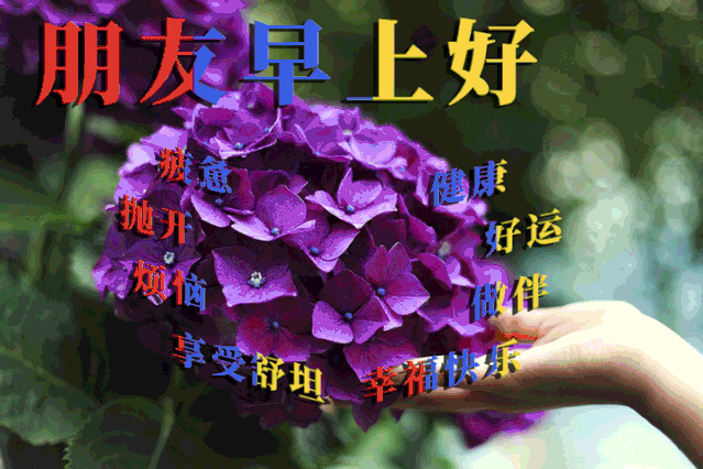 清晨早上好问候祝福表情图片 2021最美早安动态图片带