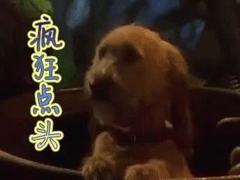 344_258gif 动态图 动图
