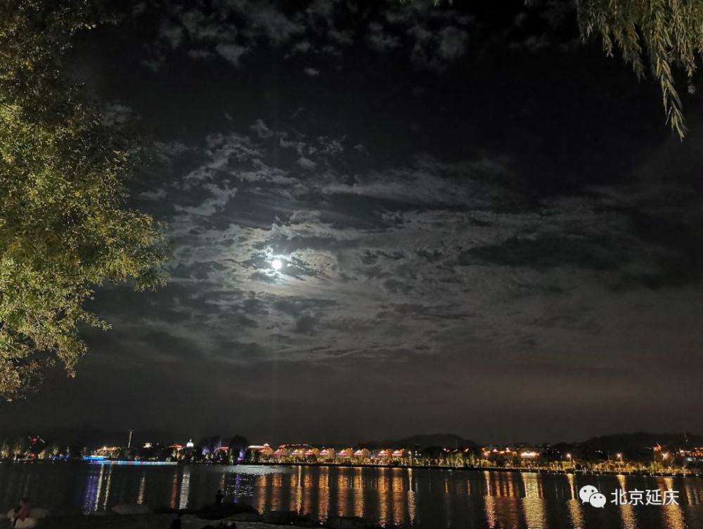 都以湖水为参照物 月亮的影子映在湖面上 水面泛起涟漪 月亮也跟着动