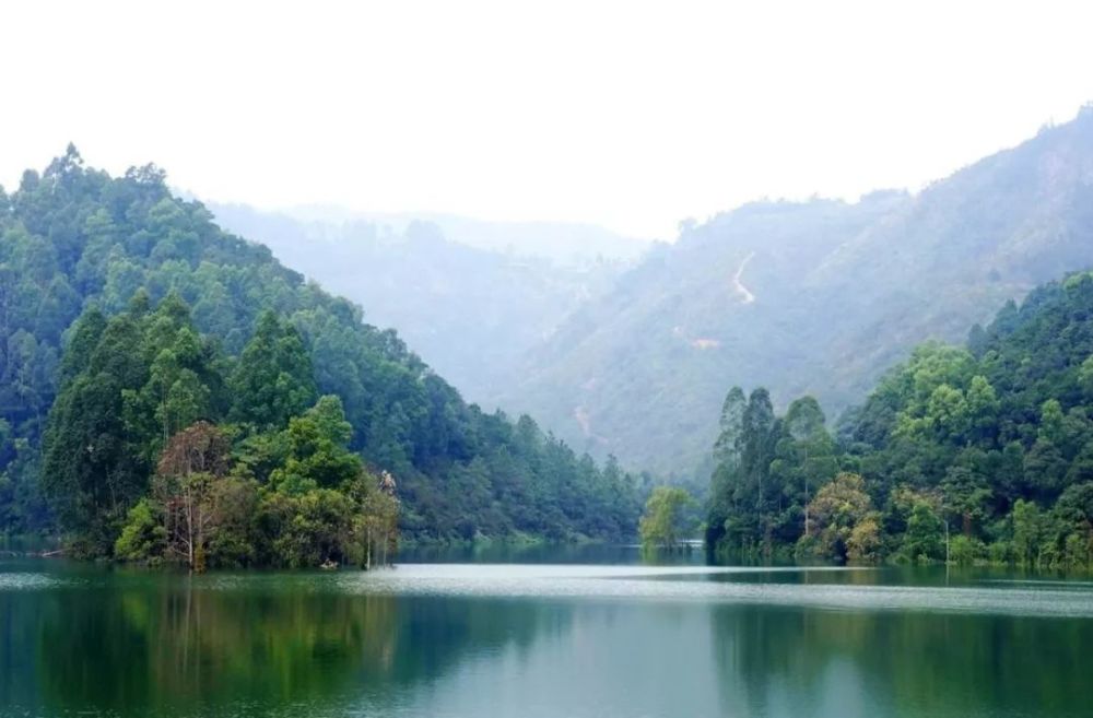 地址:江门鹤山市仙鹤湖旅游区 交通: 自驾族路线:广佛高速佛开高速