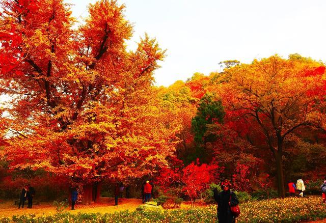 北京最低调的赏秋胜地,景色绝不输香山,却"养在深闺人