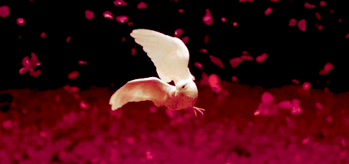 千年迷思:天使为什么会有翅膀?
