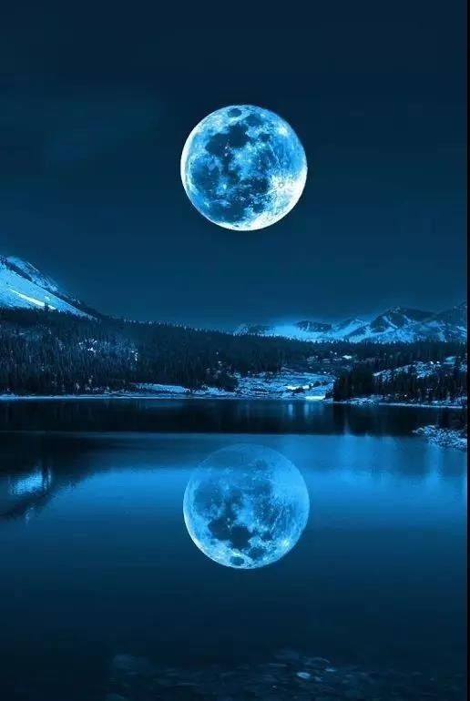 《十五夜望月》