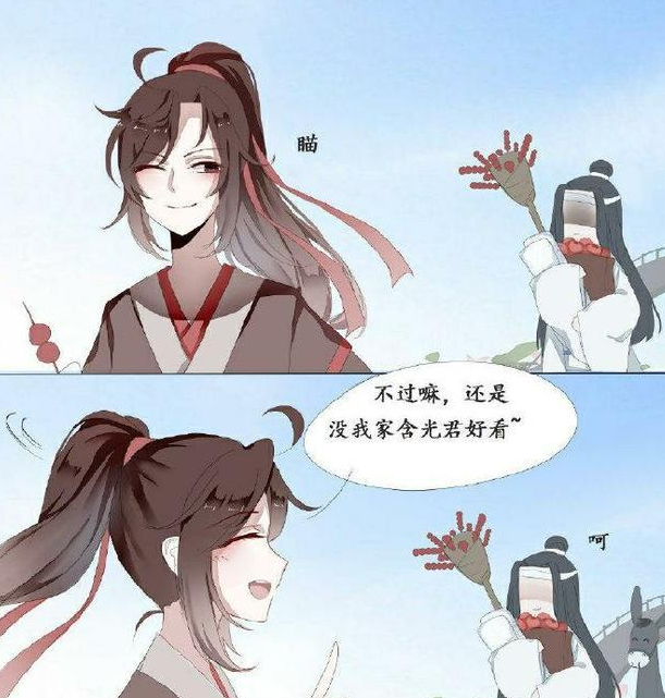 《魔道祖师》蓝忘机