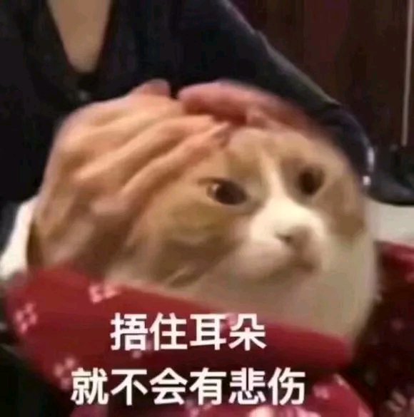 可爱猫咪搞笑表情包:捂住耳朵,就不会有悲伤!