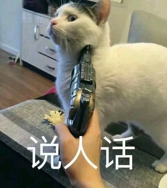 可爱猫咪搞笑表情包:捂住耳朵,就不会有悲伤!