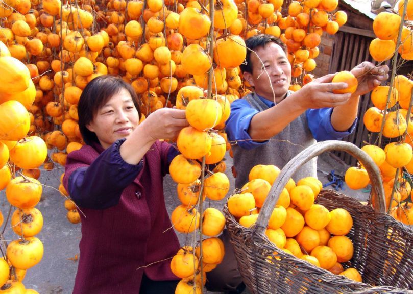 中国农民丰收节,摄影作品,乡村