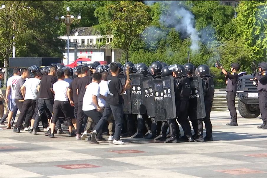 突击队,平塘县公安局,公安,平塘