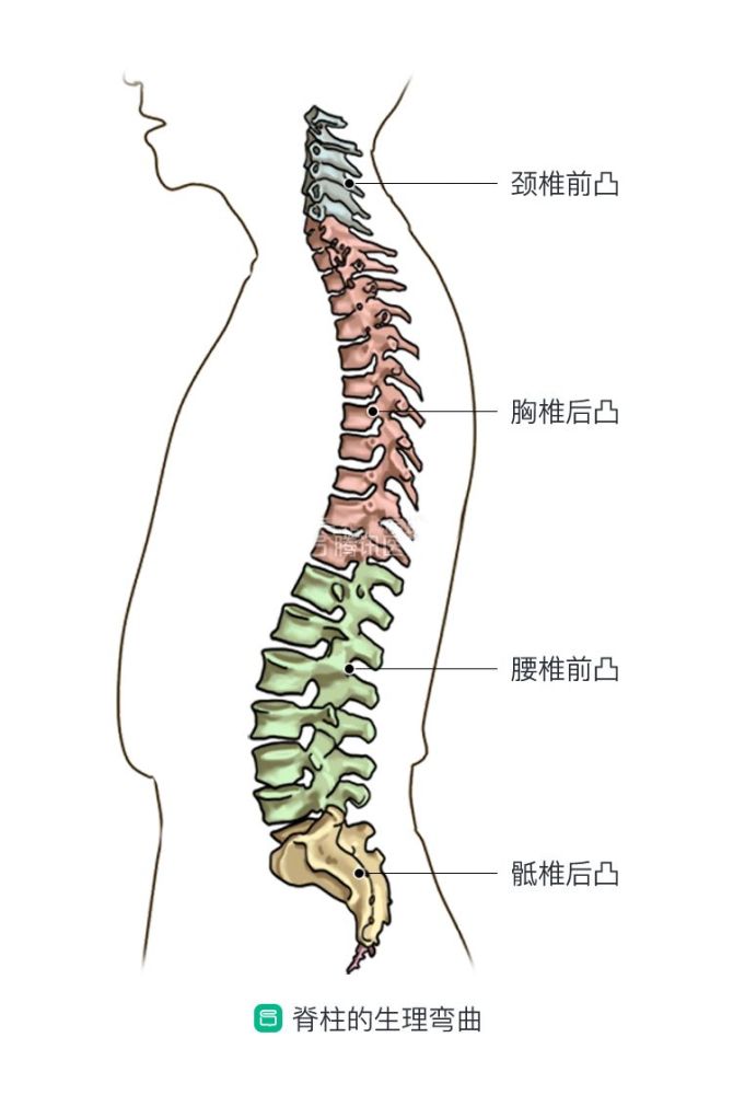 床垫,腰椎间盘突出症,腰部疼痛,腰痛