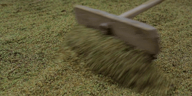 做了大米干饭把子肉, 把子肉这个东西我真的百吃不腻, 太太太好吃了