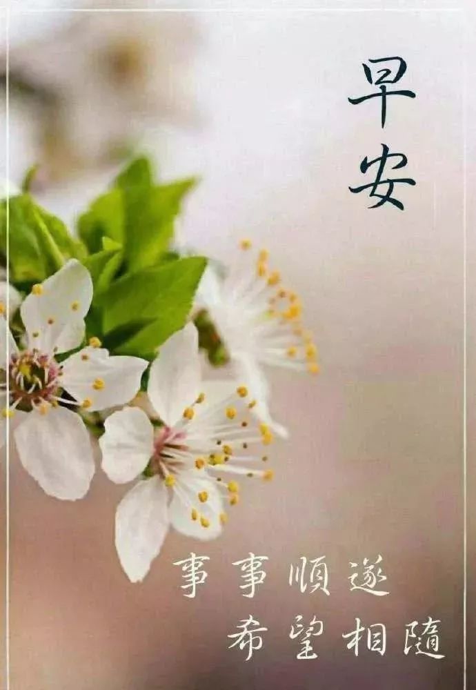 周一清晨问候朋友早上好祝福语大全 大家早上好清晨阳光语录美图