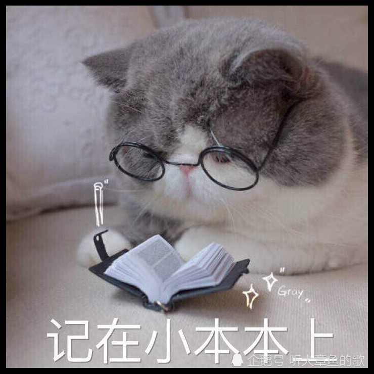 猫咪表情包,适合有对象的人哟!