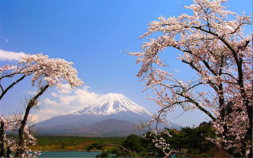 "不二的高岭"日本国家象征之一!