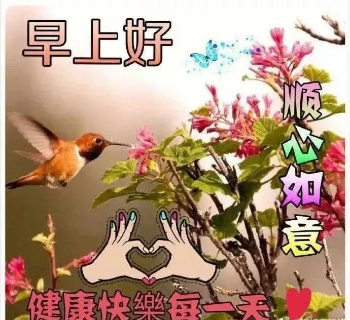 清晨最暖心的早安问候语,最美早安带字带祝福图片