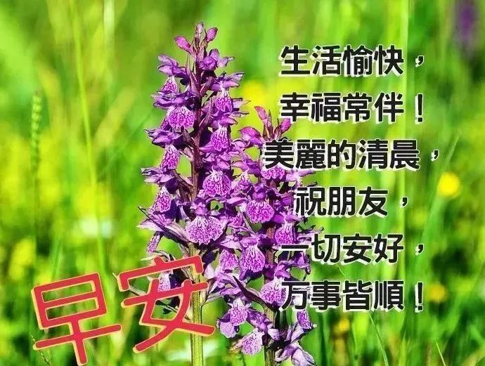 清晨最暖心的早安问候语,最美早安带字带祝福图片