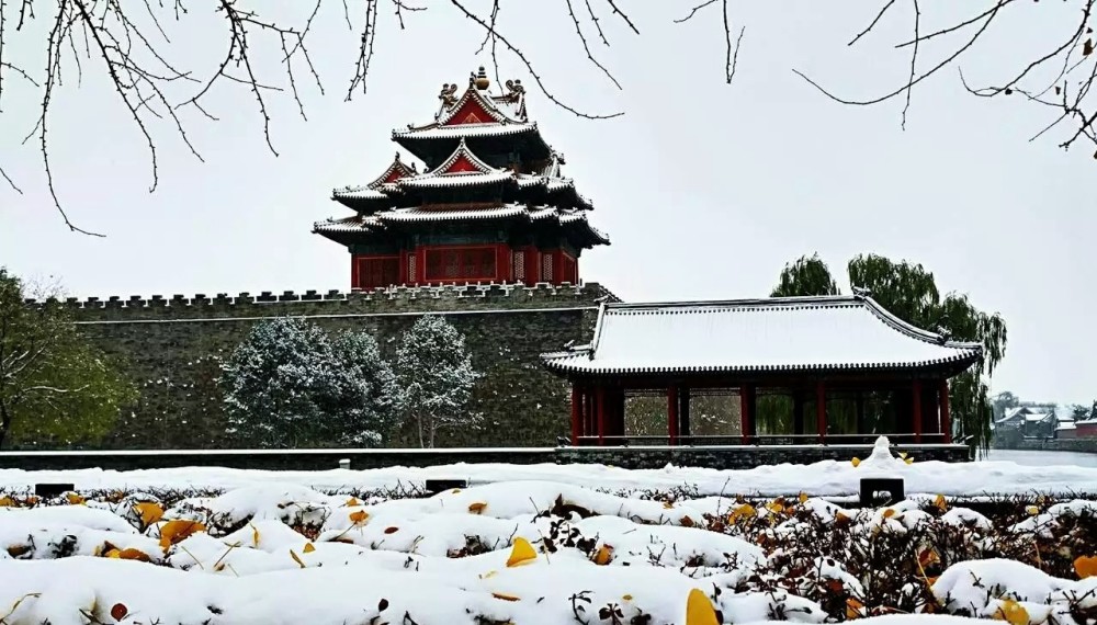 京城雪景"惊艳"了朋友圈,故宫一票难求,登上景山有"惊喜"